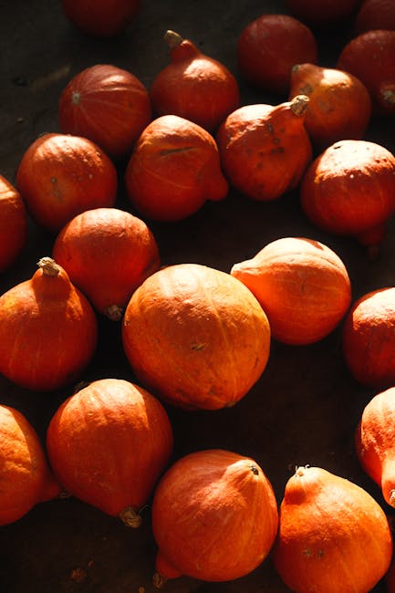 A vibrant close-up of red kuri pumpkins showcasing the rich, warm colors perfect for autumn themes.